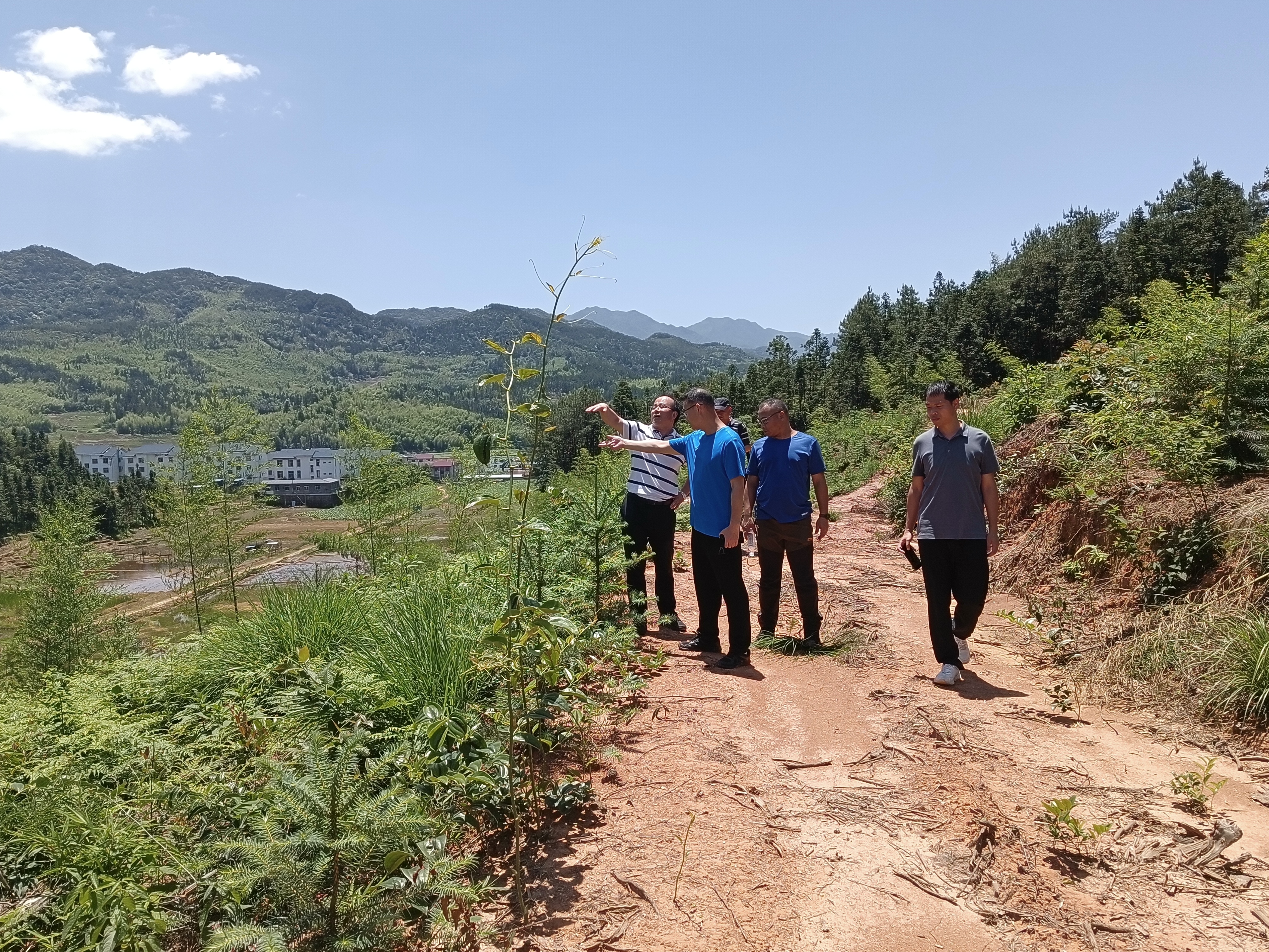 省林科院專家團隊赴福建金森指導(dǎo)森林資源培育工作