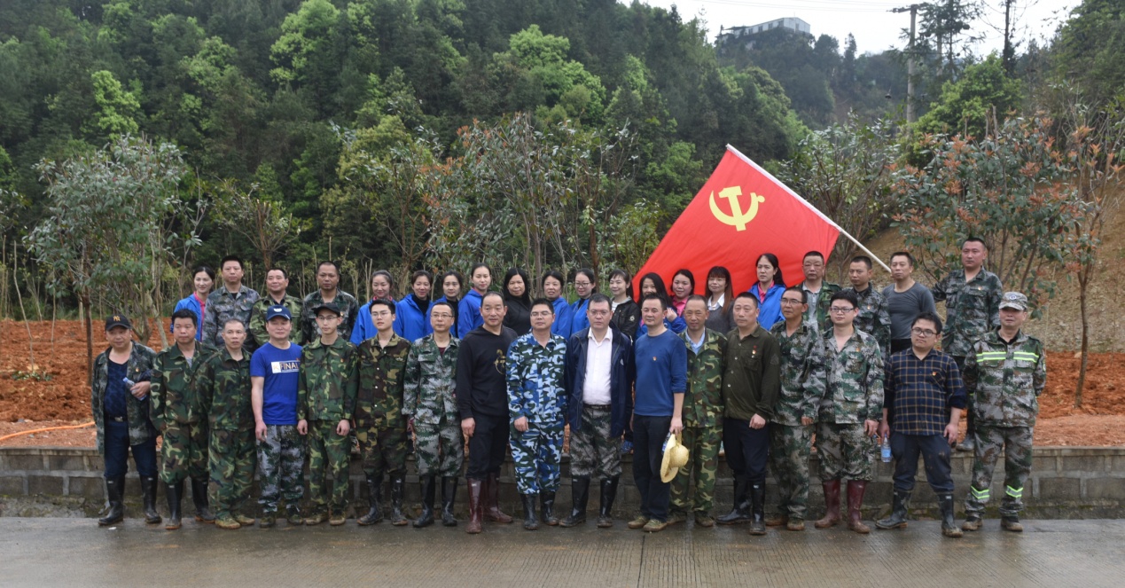 陽(yáng)春三月雨，正是植樹(shù)好時(shí)節(jié)
