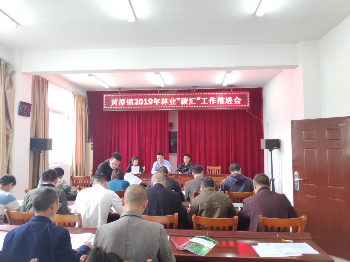 福建金森踐行”綠水青山就是金山銀山“ 推進毛竹林經營碳匯項目開發 福建金森踐行”綠水青山就是金山銀山“ 推進毛竹林經營碳匯項目開發