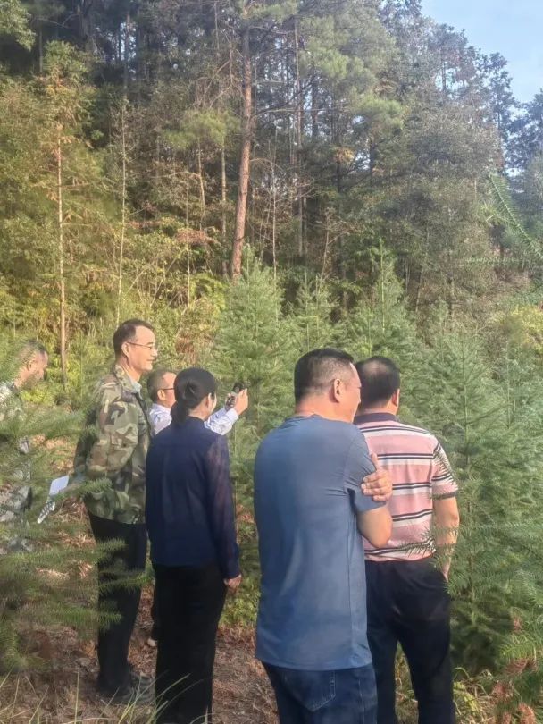 1667459049416544.jpg 1667459049416544.jpg