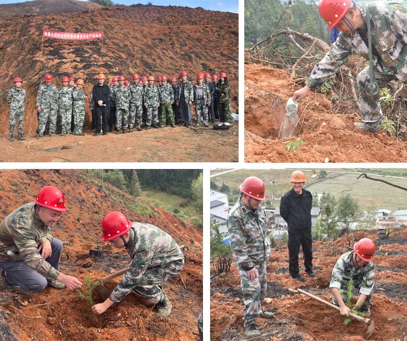 【主題教育·我在崗位做貢獻】福建金森召開村企合作造林暨安全生產現場會 【主題教育·我在崗位做貢獻】福建金森召開村企合作造林暨安全生產現場會