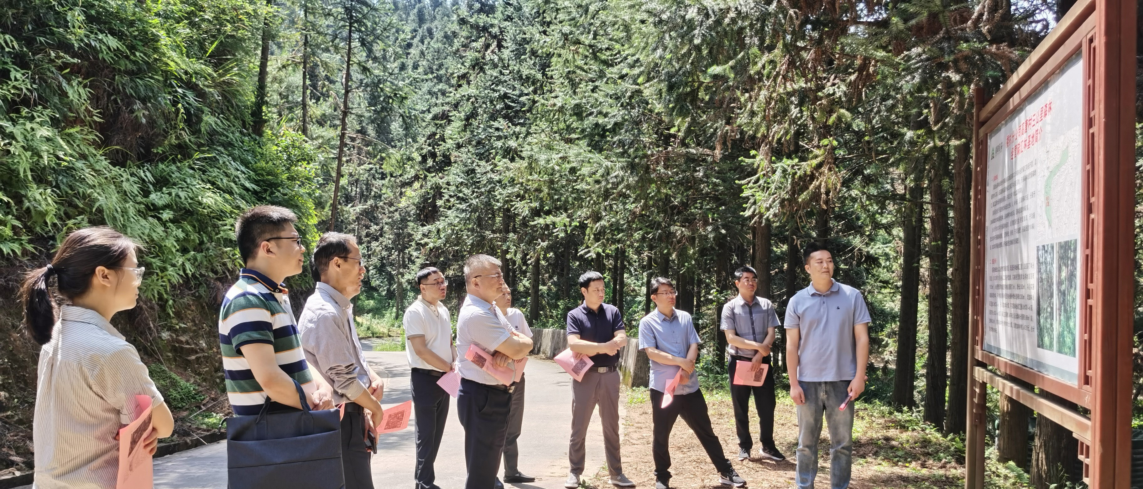 安徽省宣城市林業(yè)局赴福建金森參觀碳匯林建設(shè) 安徽省宣城市林業(yè)局赴福建金森參觀碳匯林建設(shè)
